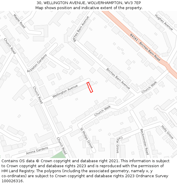 30, WELLINGTON AVENUE, WOLVERHAMPTON, WV3 7EP: Location map and indicative extent of plot