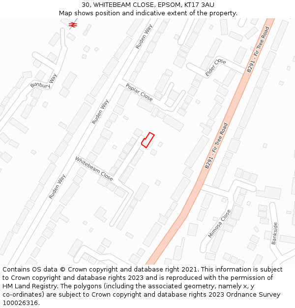 30, WHITEBEAM CLOSE, EPSOM, KT17 3AU: Location map and indicative extent of plot