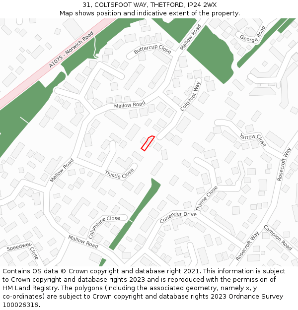 31, COLTSFOOT WAY, THETFORD, IP24 2WX: Location map and indicative extent of plot