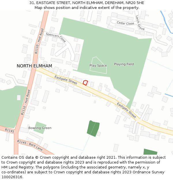 31, EASTGATE STREET, NORTH ELMHAM, DEREHAM, NR20 5HE: Location map and indicative extent of plot