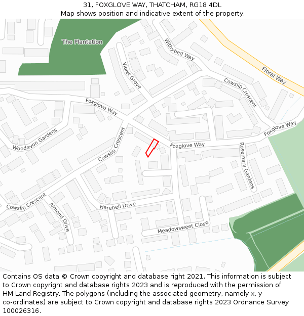 31, FOXGLOVE WAY, THATCHAM, RG18 4DL: Location map and indicative extent of plot