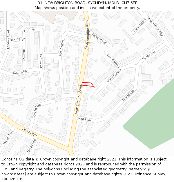 31, NEW BRIGHTON ROAD, SYCHDYN, MOLD, CH7 6EF: Location map and indicative extent of plot