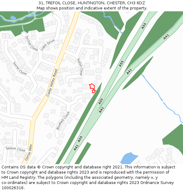 31, TREFOIL CLOSE, HUNTINGTON, CHESTER, CH3 6DZ: Location map and indicative extent of plot