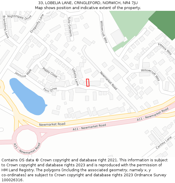 33, LOBELIA LANE, CRINGLEFORD, NORWICH, NR4 7JU: Location map and indicative extent of plot