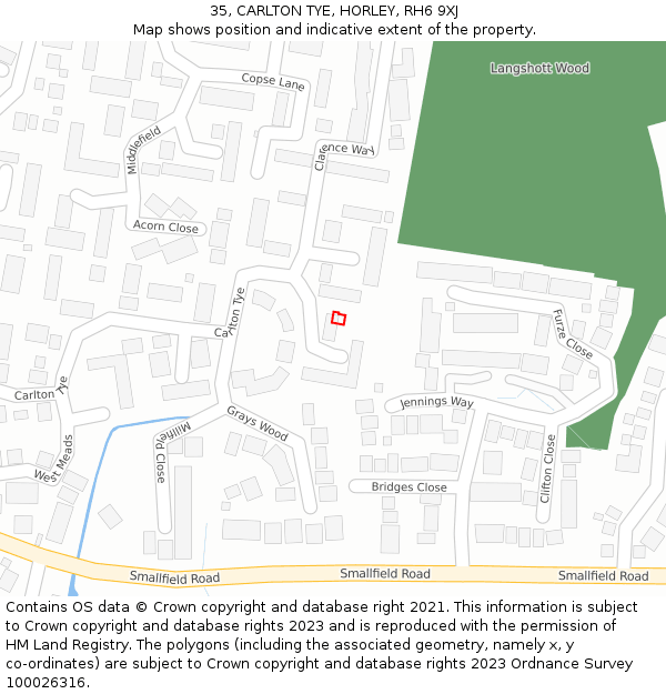 35, CARLTON TYE, HORLEY, RH6 9XJ: Location map and indicative extent of plot