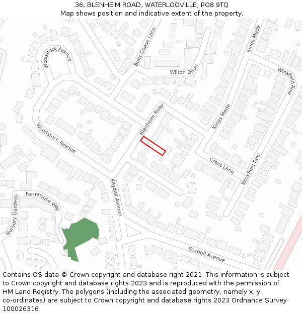 36, BLENHEIM ROAD, WATERLOOVILLE, PO8 9TQ: Location map and indicative extent of plot