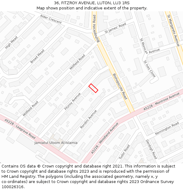 36, FITZROY AVENUE, LUTON, LU3 1RS: Location map and indicative extent of plot