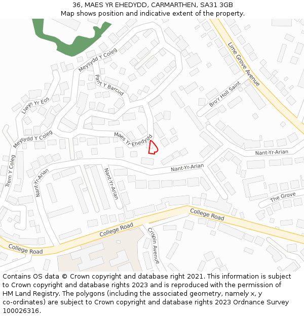 36, MAES YR EHEDYDD, CARMARTHEN, SA31 3GB: Location map and indicative extent of plot
