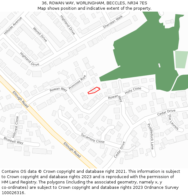 36, ROWAN WAY, WORLINGHAM, BECCLES, NR34 7ES: Location map and indicative extent of plot