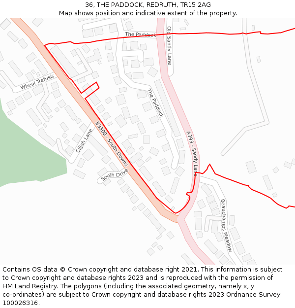 36, THE PADDOCK, REDRUTH, TR15 2AG: Location map and indicative extent of plot