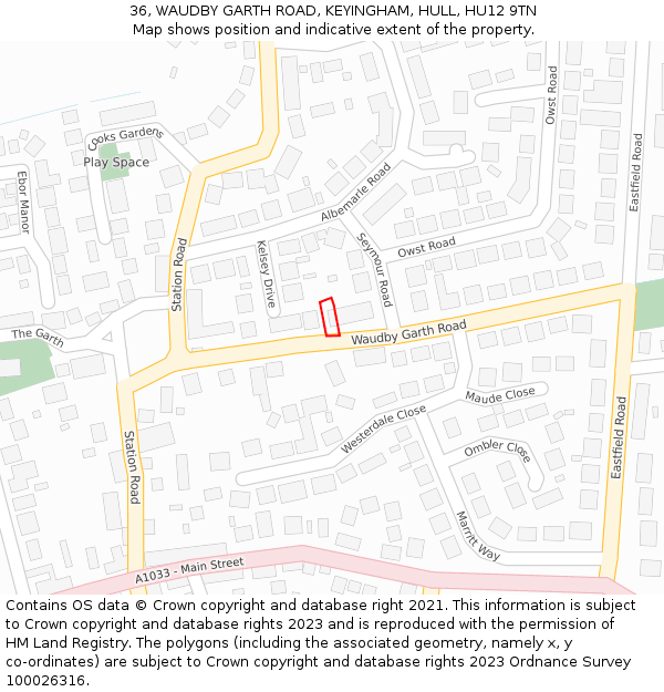 36, WAUDBY GARTH ROAD, KEYINGHAM, HULL, HU12 9TN: Location map and indicative extent of plot