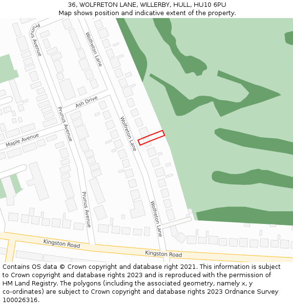 36, WOLFRETON LANE, WILLERBY, HULL, HU10 6PU: Location map and indicative extent of plot