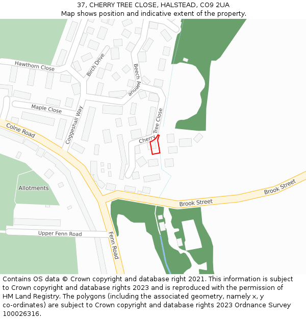 37, CHERRY TREE CLOSE, HALSTEAD, CO9 2UA: Location map and indicative extent of plot