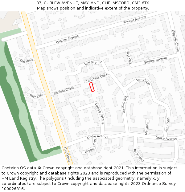 37, CURLEW AVENUE, MAYLAND, CHELMSFORD, CM3 6TX: Location map and indicative extent of plot