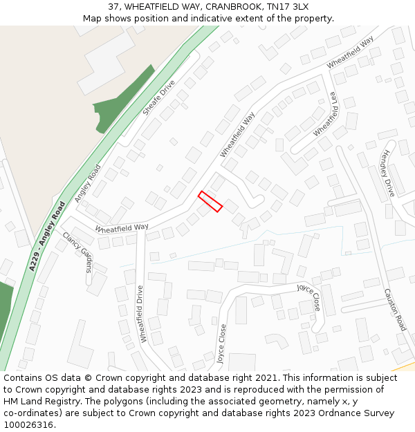 37, WHEATFIELD WAY, CRANBROOK, TN17 3LX: Location map and indicative extent of plot