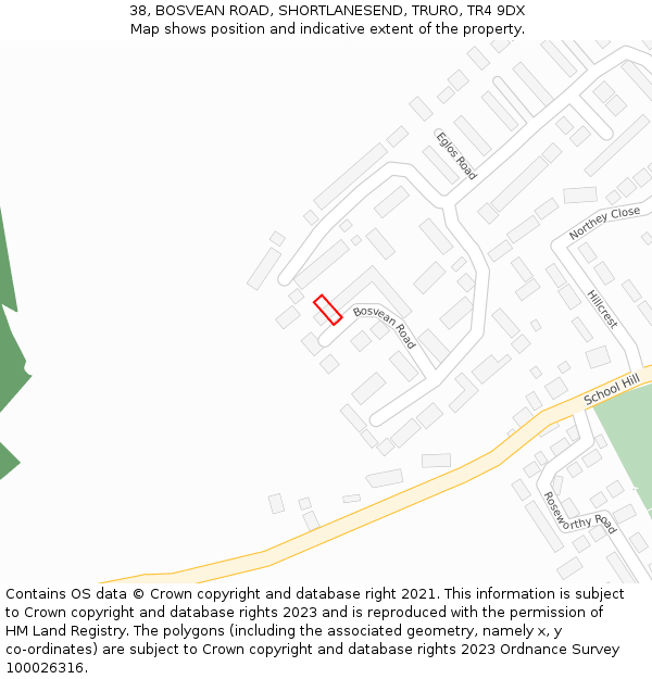 38, BOSVEAN ROAD, SHORTLANESEND, TRURO, TR4 9DX: Location map and indicative extent of plot
