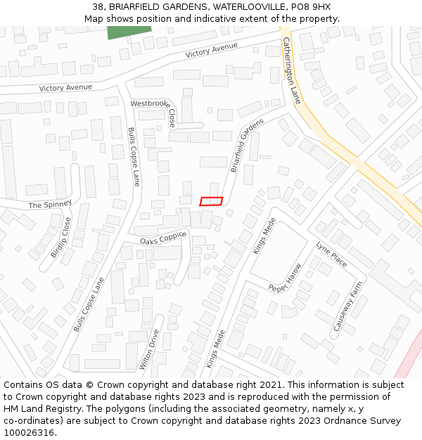 38, BRIARFIELD GARDENS, WATERLOOVILLE, PO8 9HX: Location map and indicative extent of plot