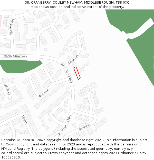 38, CRANBERRY, COULBY NEWHAM, MIDDLESBROUGH, TS8 0XQ: Location map and indicative extent of plot