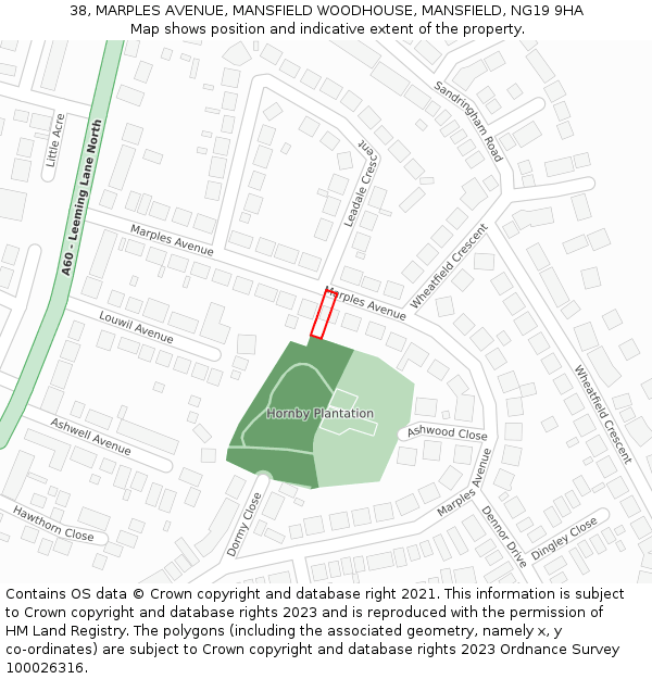 38, MARPLES AVENUE, MANSFIELD WOODHOUSE, MANSFIELD, NG19 9HA: Location map and indicative extent of plot