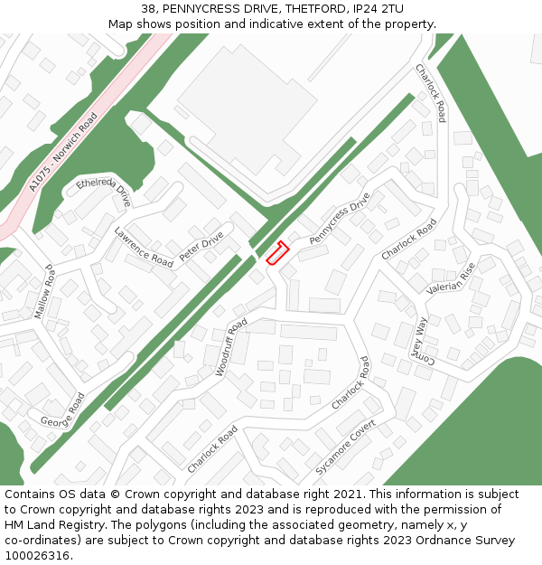 38, PENNYCRESS DRIVE, THETFORD, IP24 2TU: Location map and indicative extent of plot