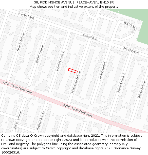 38, PIDDINGHOE AVENUE, PEACEHAVEN, BN10 8RJ: Location map and indicative extent of plot