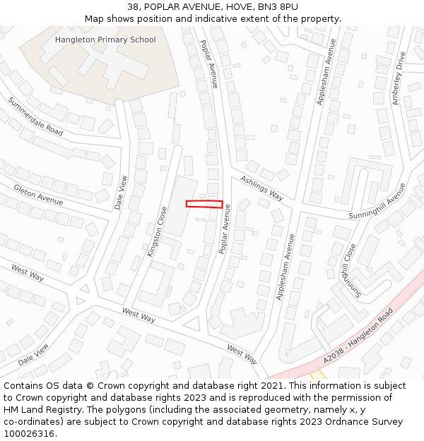 38, POPLAR AVENUE, HOVE, BN3 8PU: Location map and indicative extent of plot