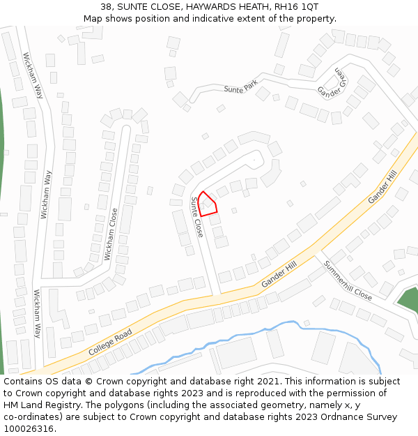 38, SUNTE CLOSE, HAYWARDS HEATH, RH16 1QT: Location map and indicative extent of plot