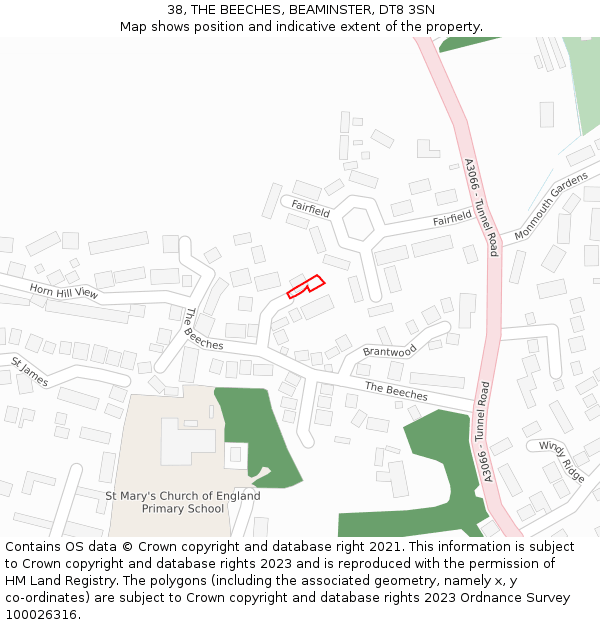 38, THE BEECHES, BEAMINSTER, DT8 3SN: Location map and indicative extent of plot