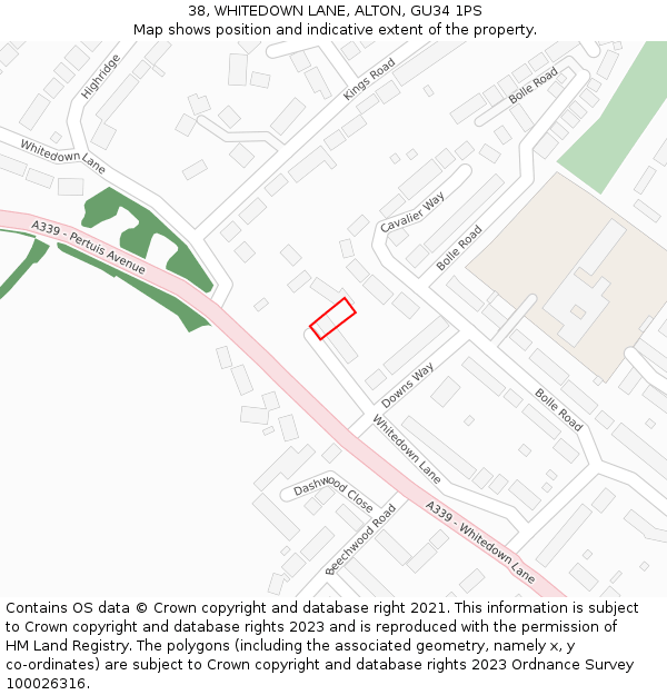 38, WHITEDOWN LANE, ALTON, GU34 1PS: Location map and indicative extent of plot