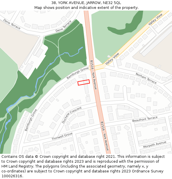 38, YORK AVENUE, JARROW, NE32 5QL: Location map and indicative extent of plot