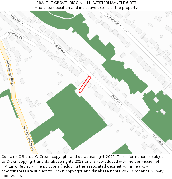 38A, THE GROVE, BIGGIN HILL, WESTERHAM, TN16 3TB: Location map and indicative extent of plot