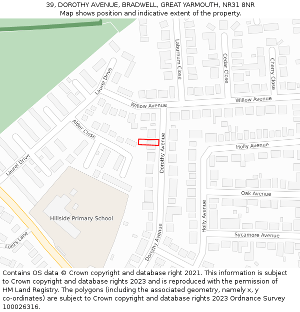 39, DOROTHY AVENUE, BRADWELL, GREAT YARMOUTH, NR31 8NR: Location map and indicative extent of plot