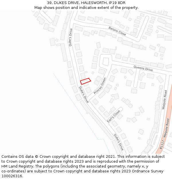 39, DUKES DRIVE, HALESWORTH, IP19 8DR: Location map and indicative extent of plot