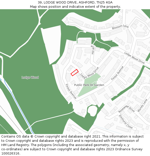 39, LODGE WOOD DRIVE, ASHFORD, TN25 4GA: Location map and indicative extent of plot