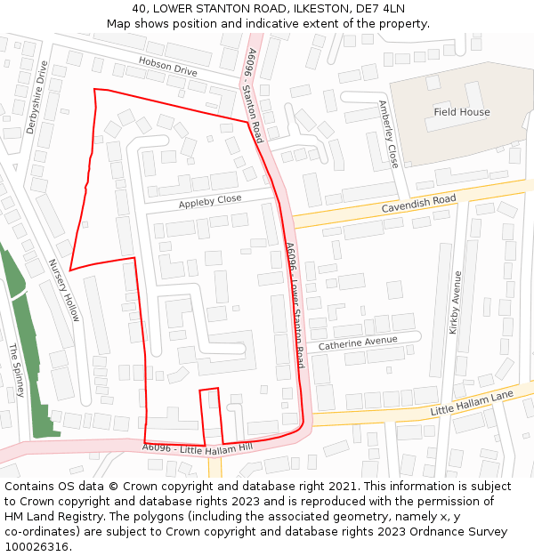 40, LOWER STANTON ROAD, ILKESTON, DE7 4LN: Location map and indicative extent of plot