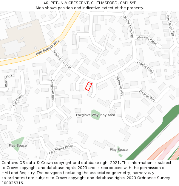 40, PETUNIA CRESCENT, CHELMSFORD, CM1 6YP: Location map and indicative extent of plot