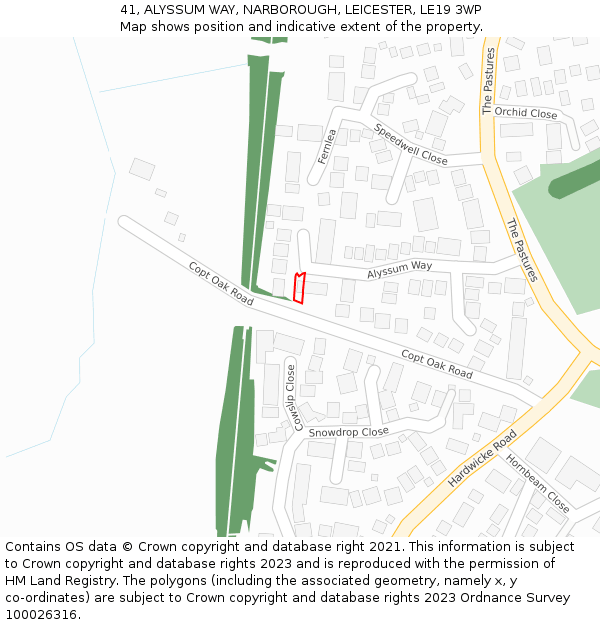 41, ALYSSUM WAY, NARBOROUGH, LEICESTER, LE19 3WP: Location map and indicative extent of plot