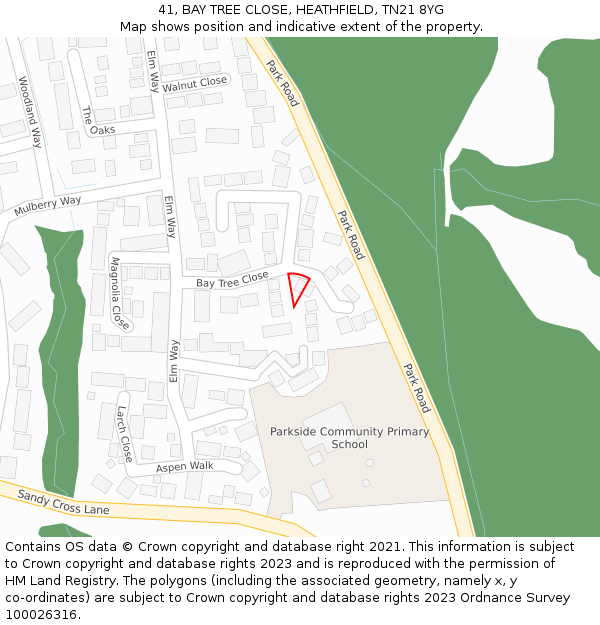 41, BAY TREE CLOSE, HEATHFIELD, TN21 8YG: Location map and indicative extent of plot
