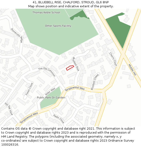 41, BLUEBELL RISE, CHALFORD, STROUD, GL6 8NP: Location map and indicative extent of plot