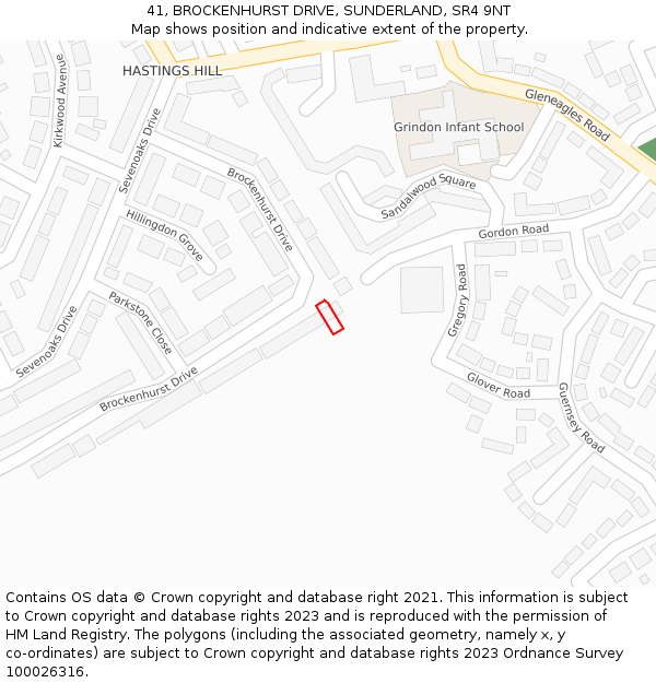 41, BROCKENHURST DRIVE, SUNDERLAND, SR4 9NT: Location map and indicative extent of plot