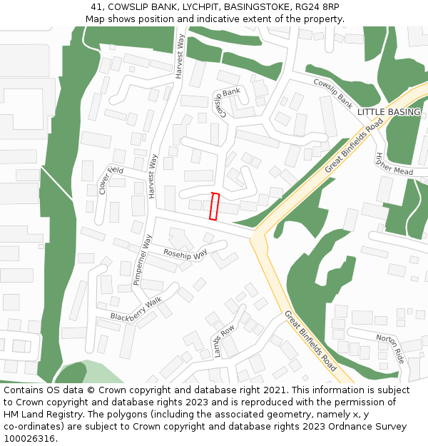 41, COWSLIP BANK, LYCHPIT, BASINGSTOKE, RG24 8RP: Location map and indicative extent of plot