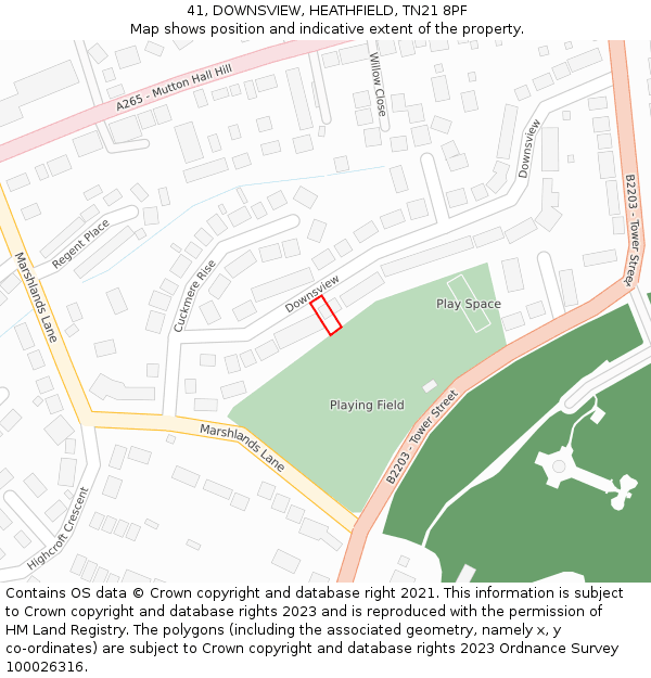 41, DOWNSVIEW, HEATHFIELD, TN21 8PF: Location map and indicative extent of plot