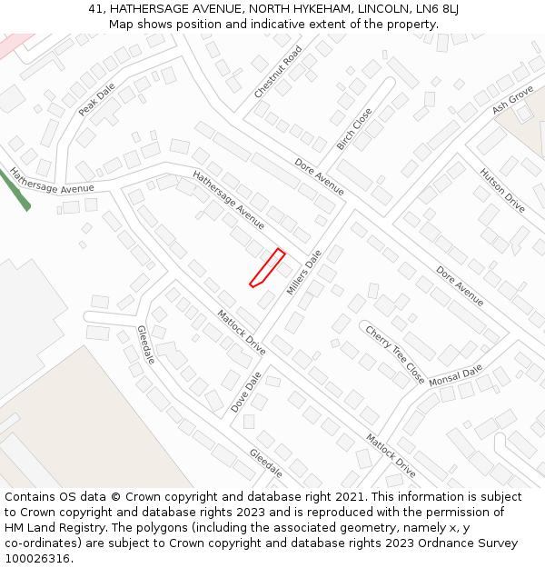 41, HATHERSAGE AVENUE, NORTH HYKEHAM, LINCOLN, LN6 8LJ: Location map and indicative extent of plot