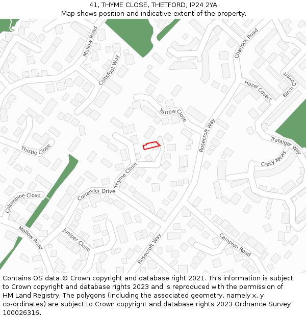 41, THYME CLOSE, THETFORD, IP24 2YA: Location map and indicative extent of plot