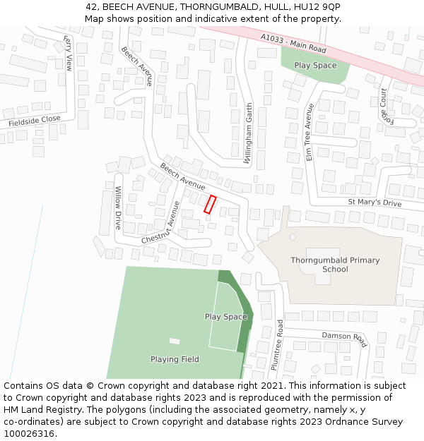 42, BEECH AVENUE, THORNGUMBALD, HULL, HU12 9QP: Location map and indicative extent of plot