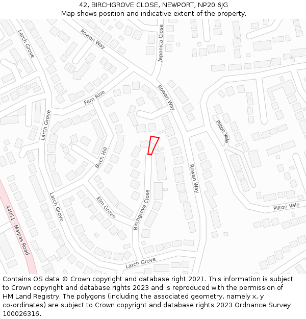 42, BIRCHGROVE CLOSE, NEWPORT, NP20 6JG: Location map and indicative extent of plot