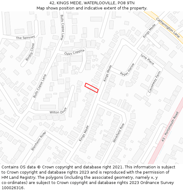 42, KINGS MEDE, WATERLOOVILLE, PO8 9TN: Location map and indicative extent of plot