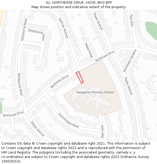 42, NORTHEASE DRIVE, HOVE, BN3 8PP: Location map and indicative extent of plot