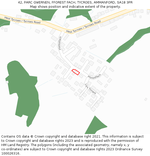 42, PARC GWERNEN, FFOREST FACH, TYCROES, AMMANFORD, SA18 3PR: Location map and indicative extent of plot