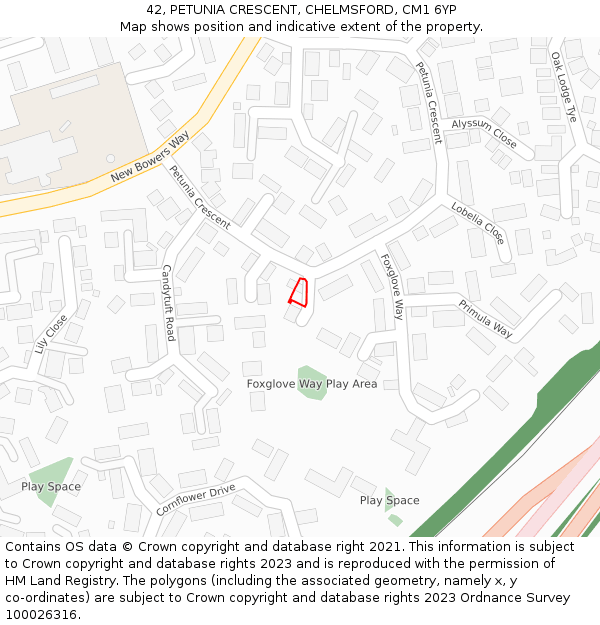 42, PETUNIA CRESCENT, CHELMSFORD, CM1 6YP: Location map and indicative extent of plot